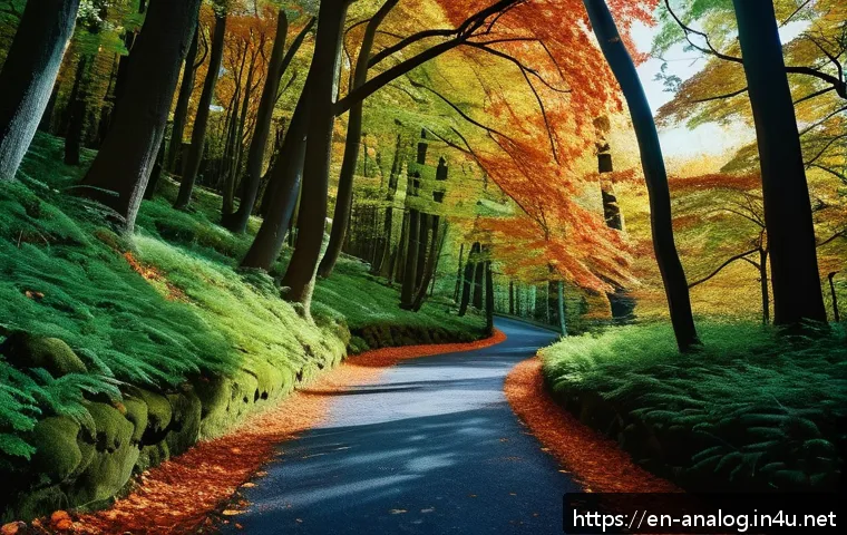 아날로그 카메라 필름 추천 관련 이미지 2